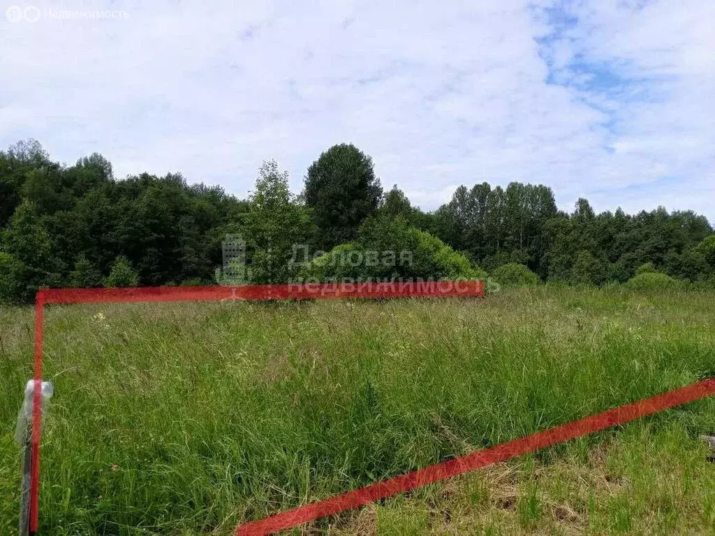 Участок в Ермолинское сельское поселение, деревня Нащи (10.5 м) - Фото 2