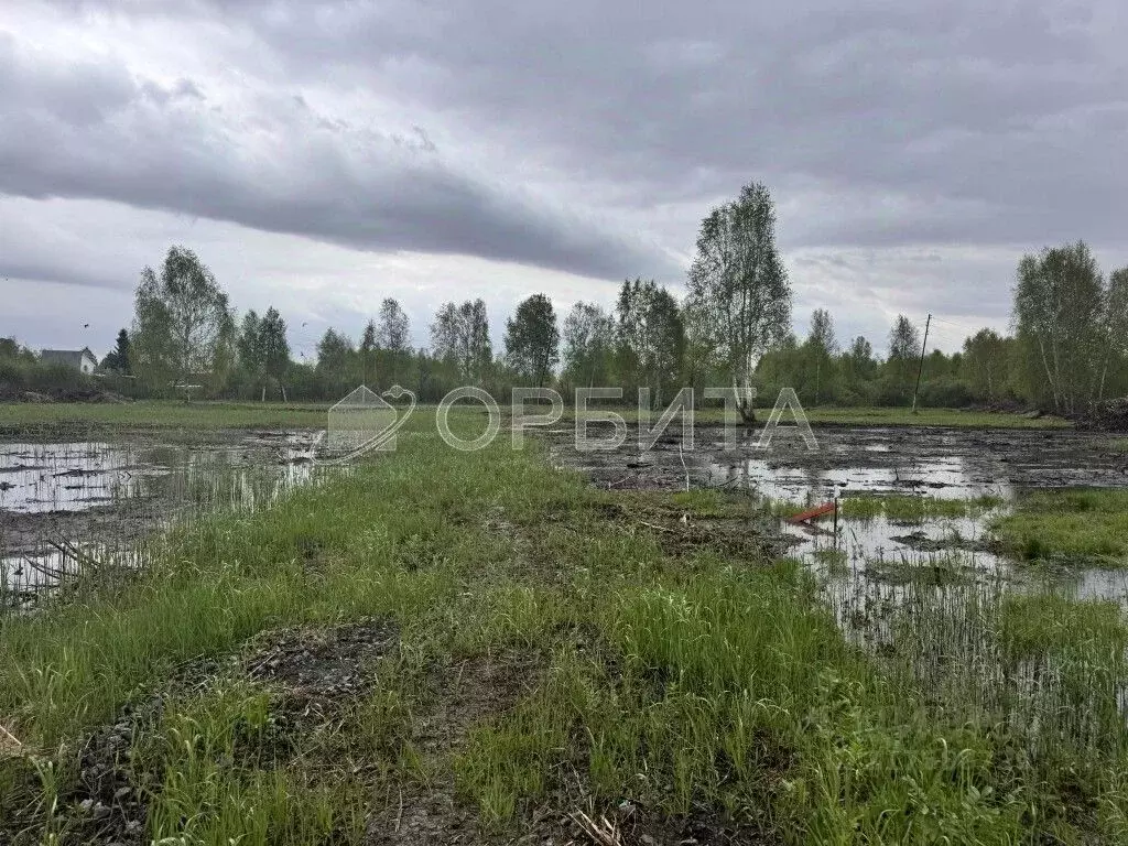 Участок в Тюменская область, Нижнетавдинский район, Виктория ТСН ул. ... - Фото 0