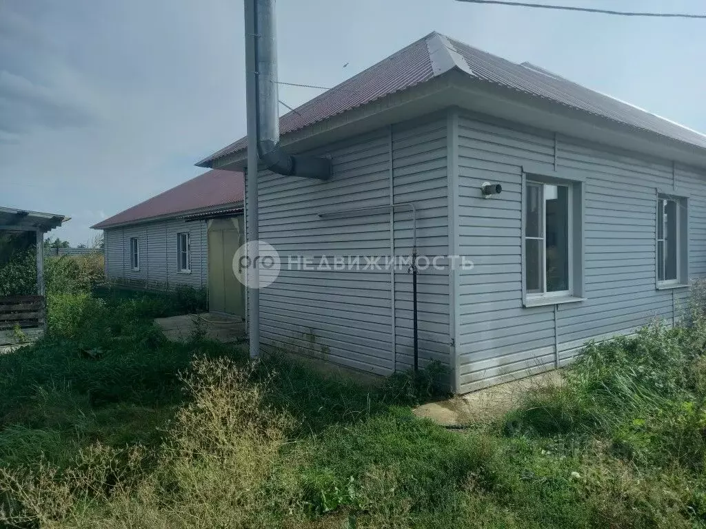 Производственное помещение в Рязанская область, Рыбновский район, с. ... - Фото 0