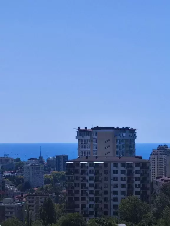 1-к кв. Краснодарский край, Сочи Виноградная ул., 22/1А (37.0 м) - Фото 1