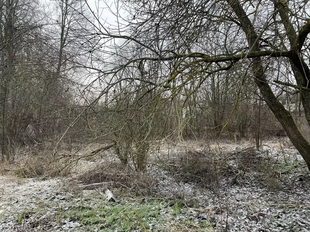 Участок в Московская область, Клин городской округ, д. Григорьевское  ... - Фото 2