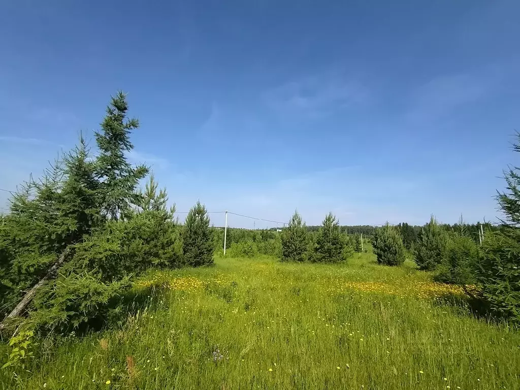 Участок в Нижегородская область, Павлово пос. Восточный,  (15.0 сот.) - Фото 2