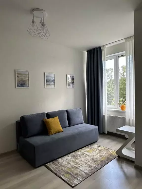 Студия Санкт-Петербург Кузнецовская ул., 58к1 (25.0 м) - Фото 2