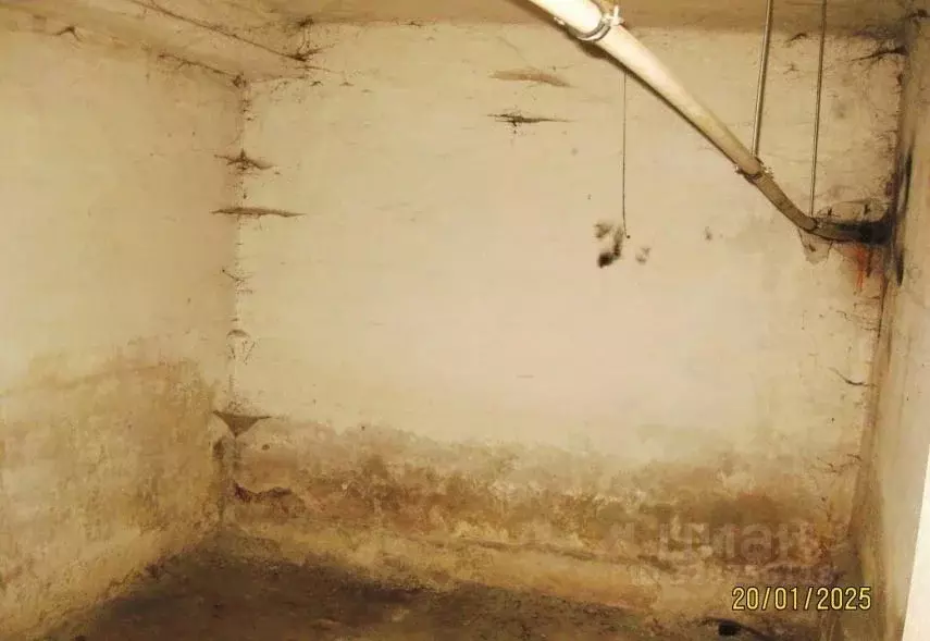 Помещение свободного назначения в Нижегородская область, Нижний ... - Фото 1