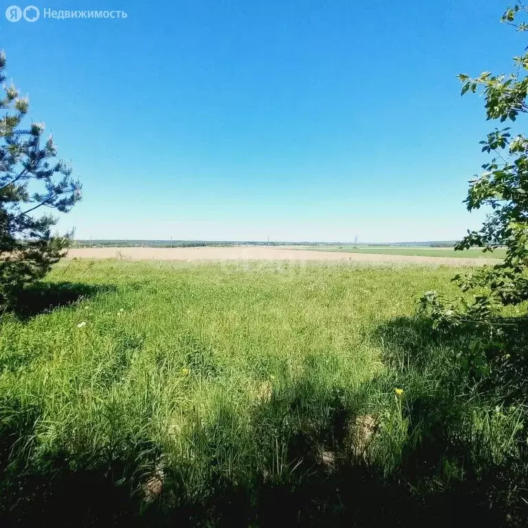 Участок в Тарусский район, село Волковское (30.2 м) - Фото 0