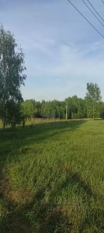 Участок в Нижегородская область, Городецкий муниципальный округ, д. ... - Фото 1