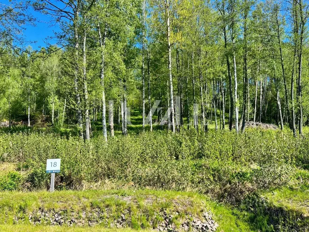 Участок в Ленинградская область, Выборгский район, Полянское с/пос, ... - Фото 1