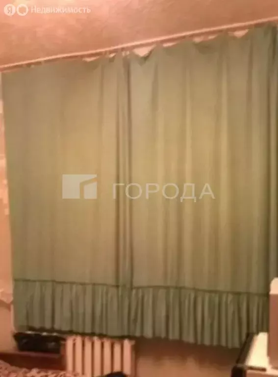 Квартира-студия: Барнаул, Северо-Западная улица, 56 (16 м) - Фото 1