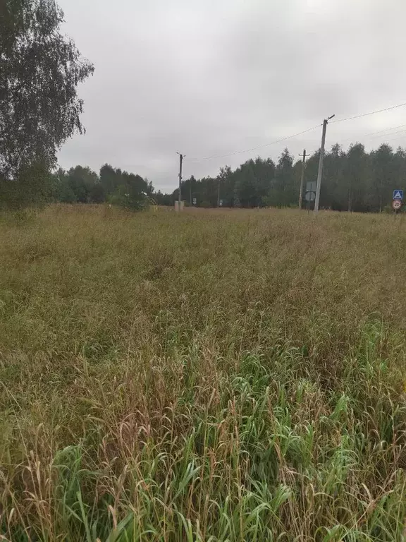 Участок в Московская область, Коломна городской округ, д. Новоселки  ... - Фото 0