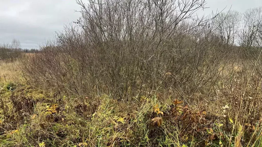 Участок в Московская область, Истра ул. Ленина, Река Истра (9.95 сот.) - Фото 1