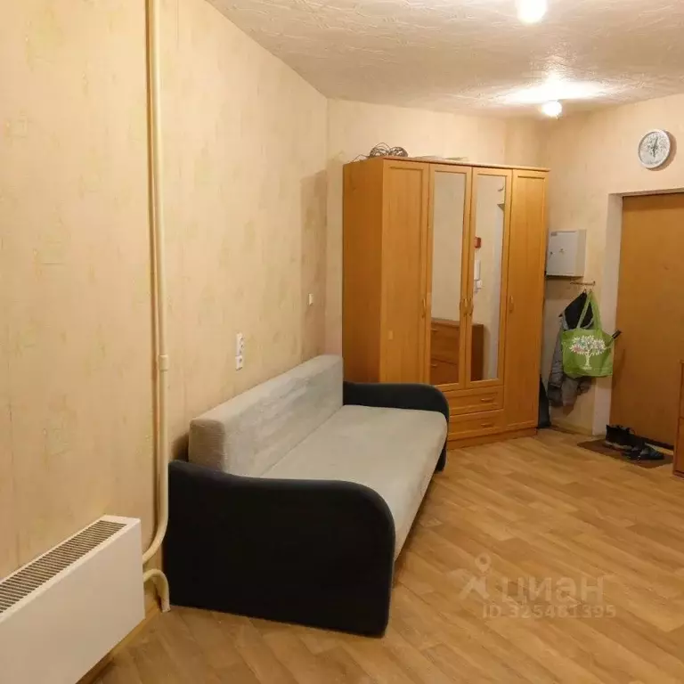 Студия Московская область, Электросталь ул. Ялагина, 13 (27.0 м) - Фото 2