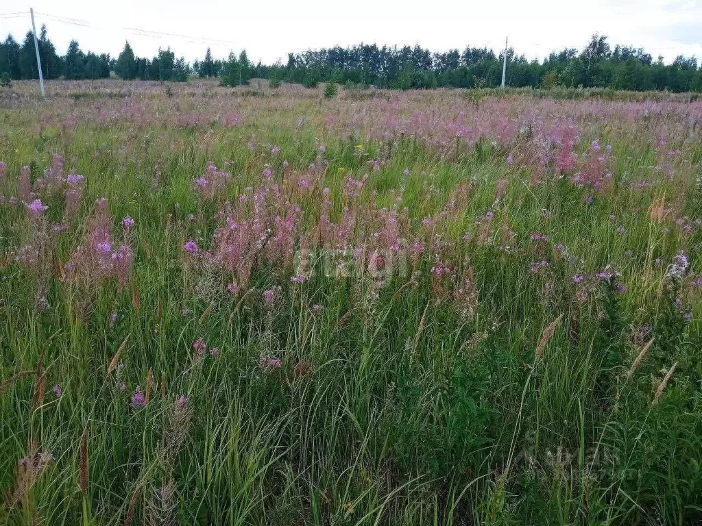 Участок в Ульяновская область, Старая Майна рп ул. Симбирская (5.0 ... - Фото 1