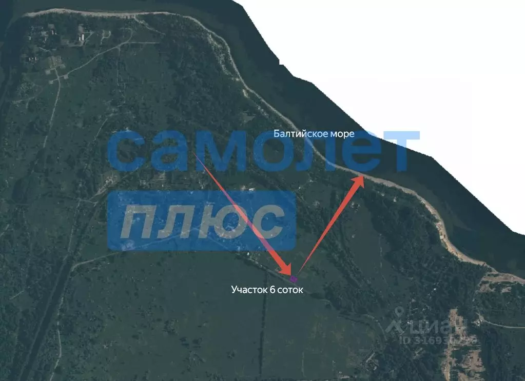Участок в Калининградская область, Зеленоградский муниципальный округ, ... - Фото 1