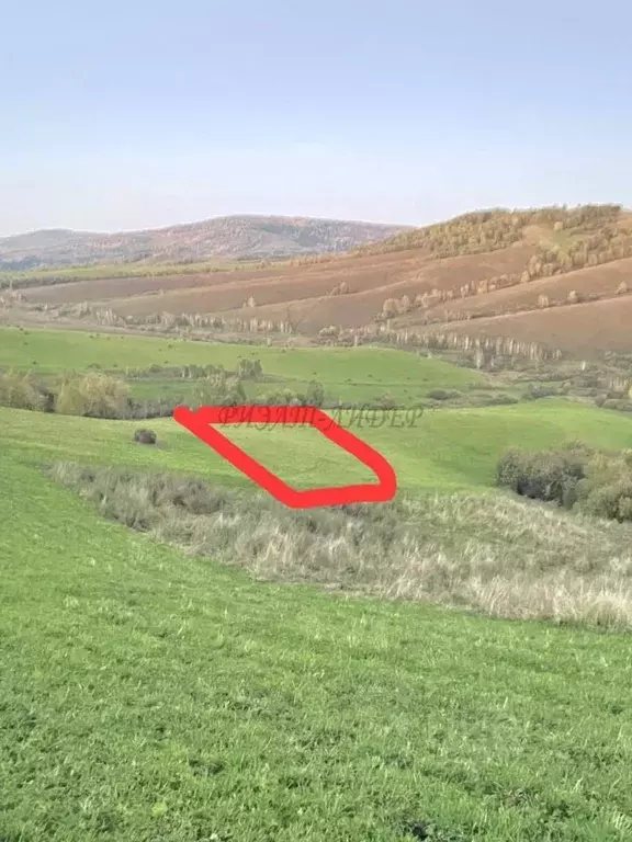 Участок в Алтай, Майминский район, пос. Алферово Центральная ул., 31А ... - Фото 2