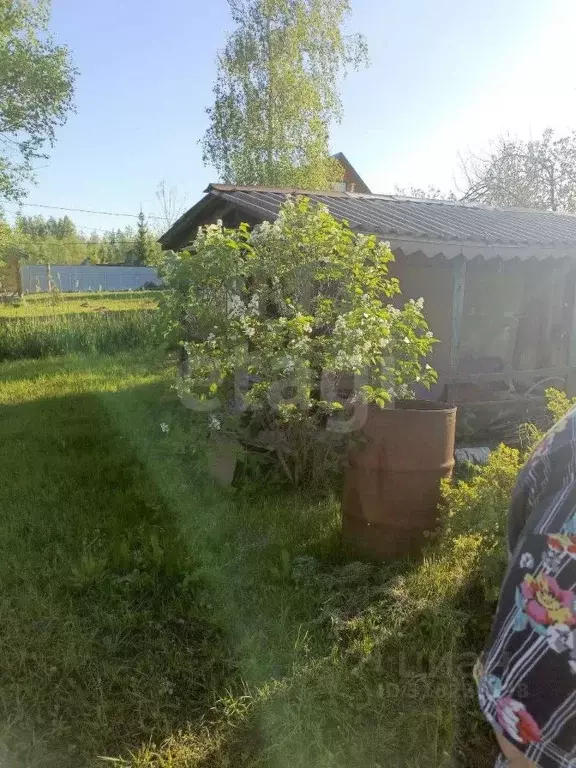 Дом в Ярославская область, Ярославский муниципальный округ, Недра СНТ ... - Фото 1