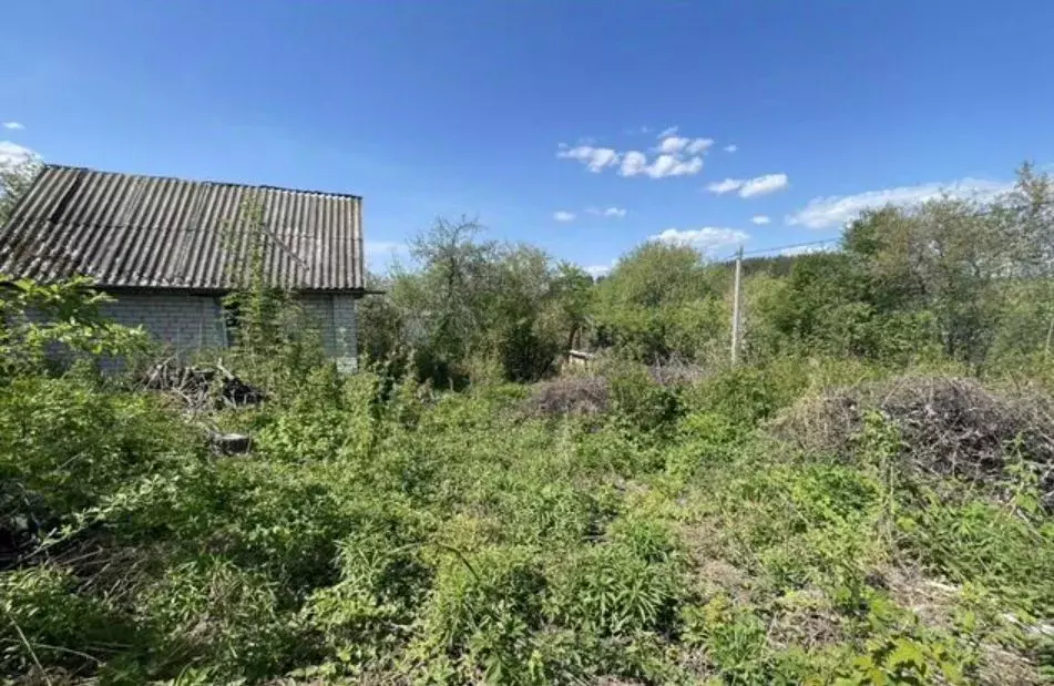 Дом в Нижегородская область, Кстовский муниципальный округ, Березка ... - Фото 1