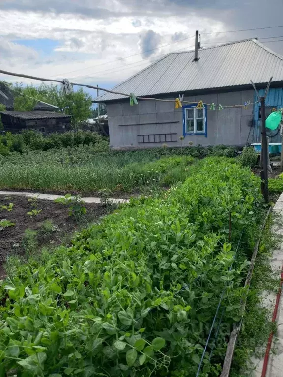 Дом в Кемеровская область, Мыски Крайняя ул. (52 м) - Фото 2
