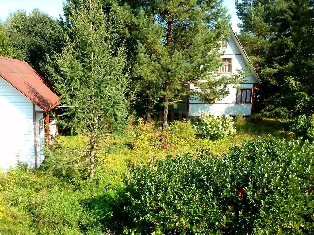 дом в выборгский район, рощинское городское поселение, садоводческое . - Фото 0