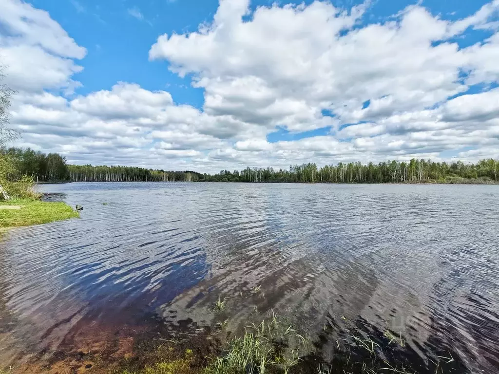 Дом в Московская область, Богородский городской округ, д. Пашуково  ... - Фото 1