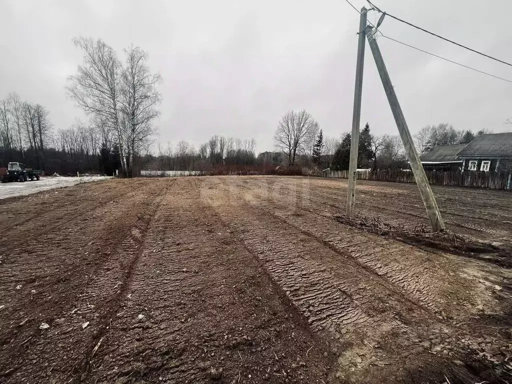 Участок в Ярославская область, Рыбинский муниципальный округ, с. ... - Фото 1