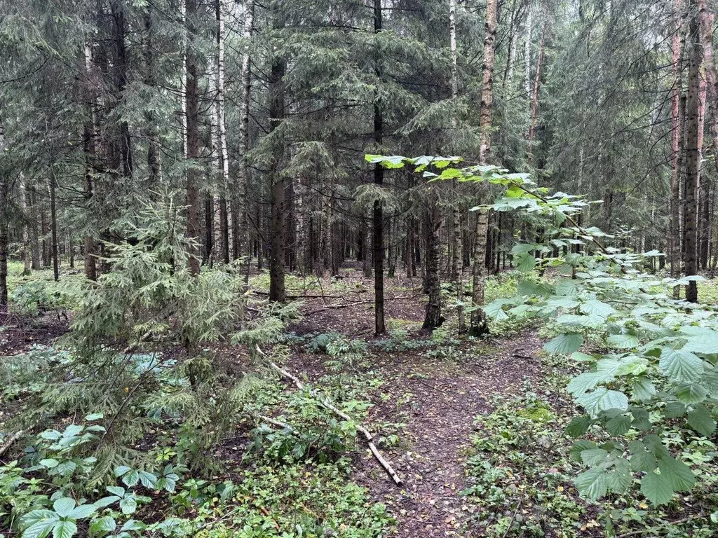 Участок в Московская область, Кубинка  (25.0 сот.) - Фото 1