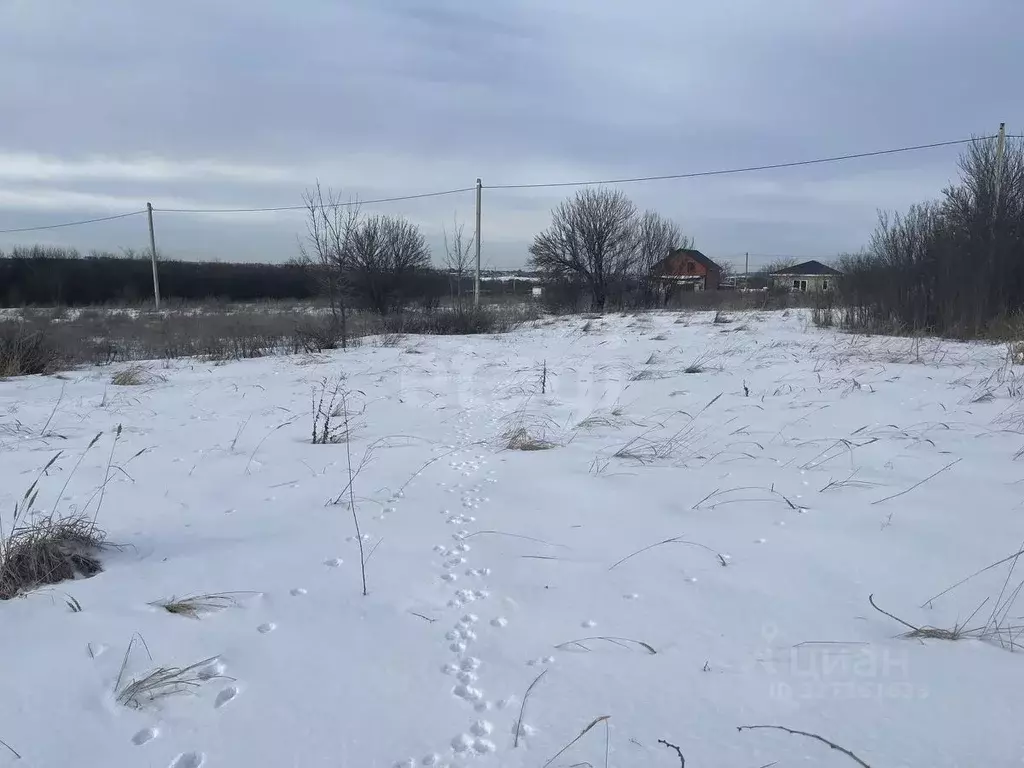 Участок в Белгородская область, Белгородский район, Беломестненское ... - Фото 1