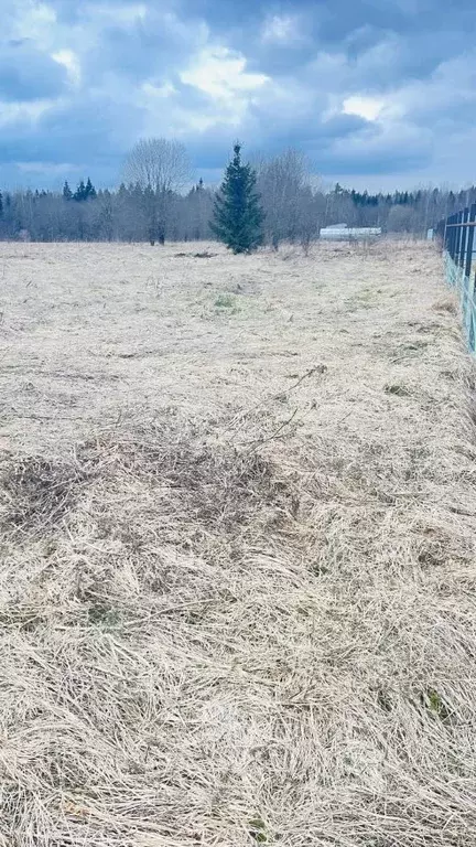 Участок в Ленинградская область, Гатчинский муниципальный округ, д. ... - Фото 1