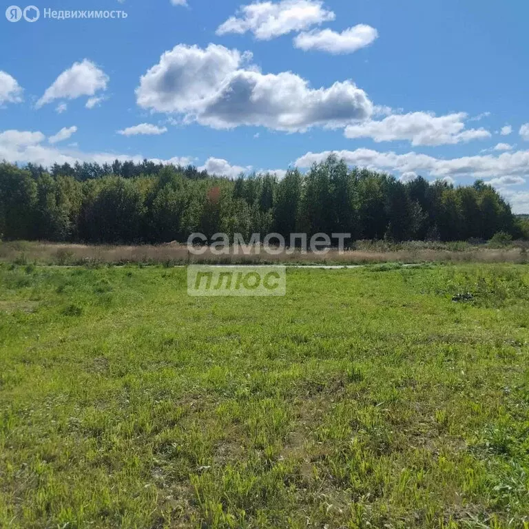 Участок в Чернышевка, Лесная улица (10 м) - Фото 1