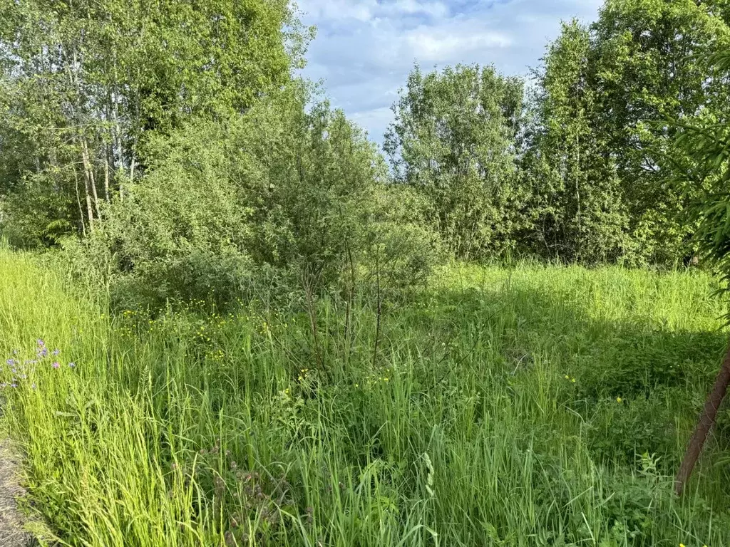 Участок в Московская область, Наро-Фоминский городской округ, Солнце ... - Фото 0