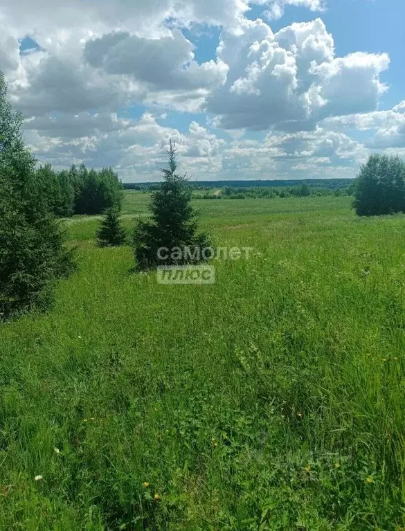 Участок в Вологодская область, д. Богородское  (20.0 сот.) - Фото 1
