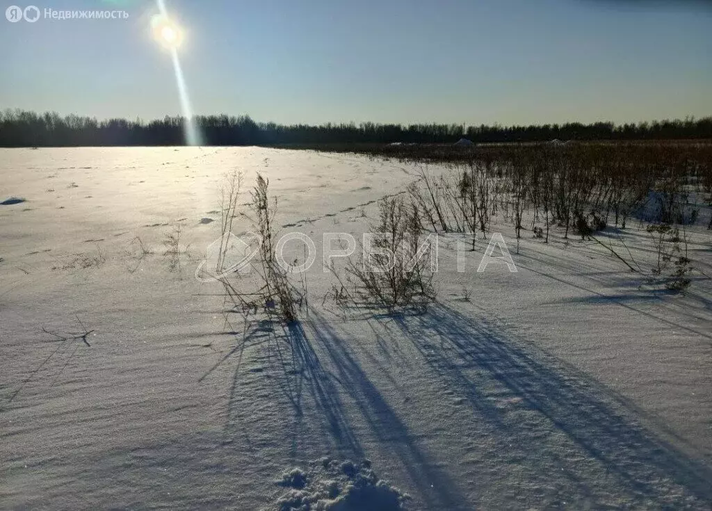 Участок в Тюменский муниципальный округ, товарищество собственников ... - Фото 0