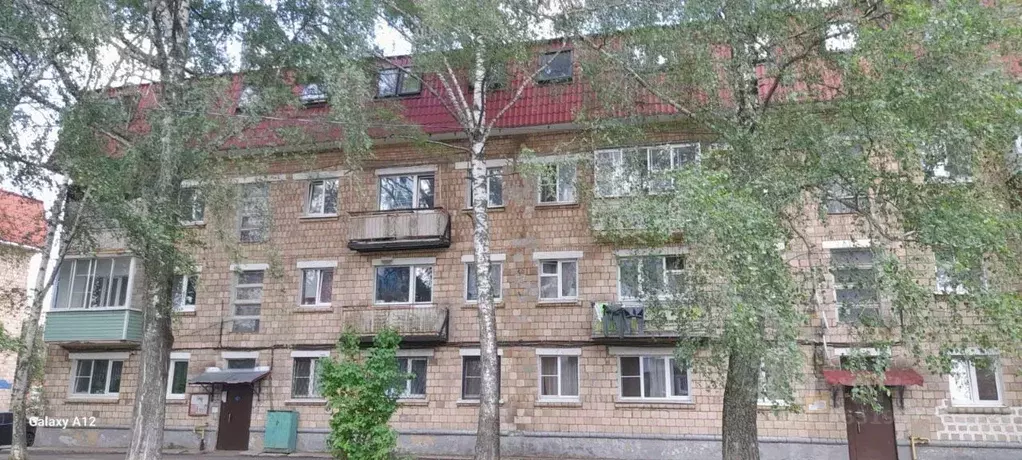 2-к кв. Московская область, Ногинск Богородский городской округ, ул. ... - Фото 1
