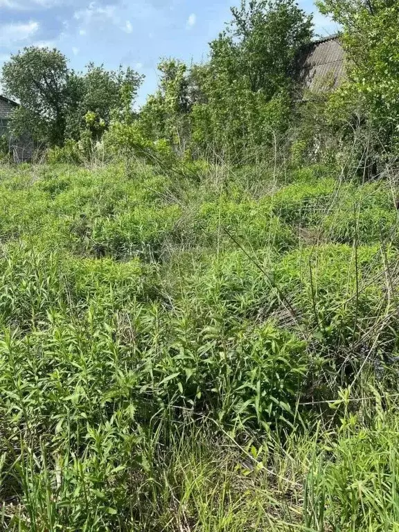 Участок в Брянская область, Стародуб ул. Чехова (13.5 сот.) - Фото 2