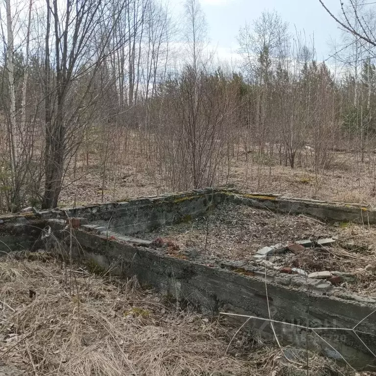 Участок в Иркутская область, Усть-Илимск Парковая СНТ,  (12.0 сот.) - Фото 1