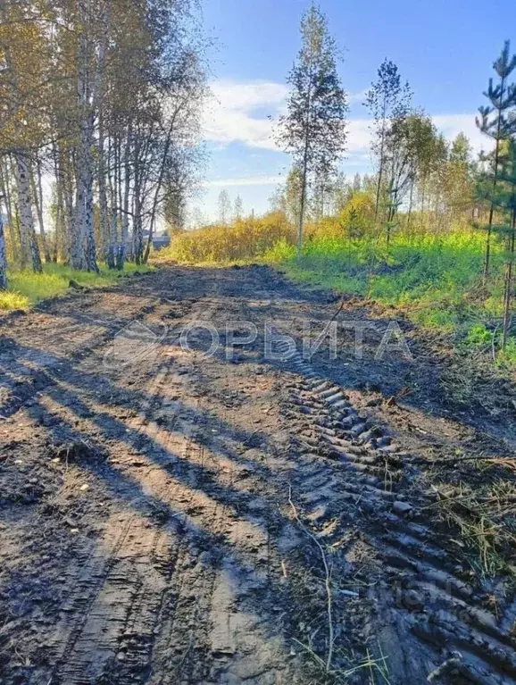 Участок в Тюменская область, Ишим Медик СНТ,  (18.0 сот.) - Фото 0