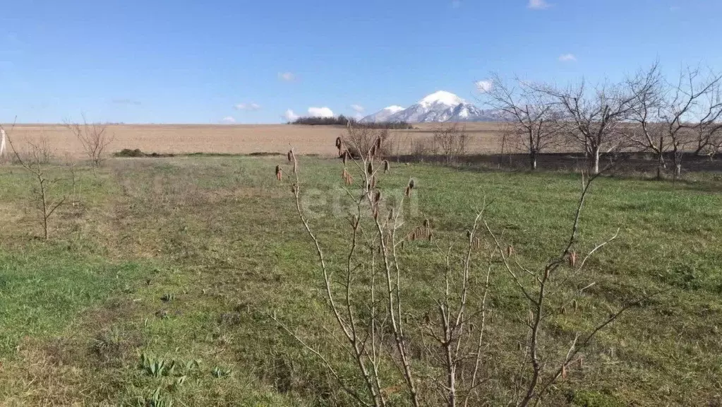 Участок в Ставропольский край, Предгорный муниципальный округ, с. ... - Фото 1