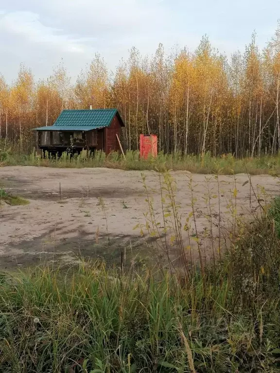 Участок в Нижегородская область, Богородский муниципальный округ, д. ... - Фото 1