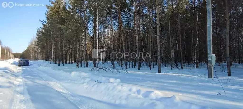 Участок в село Фирсово, улица Толстого, 20 (14 м) - Фото 0