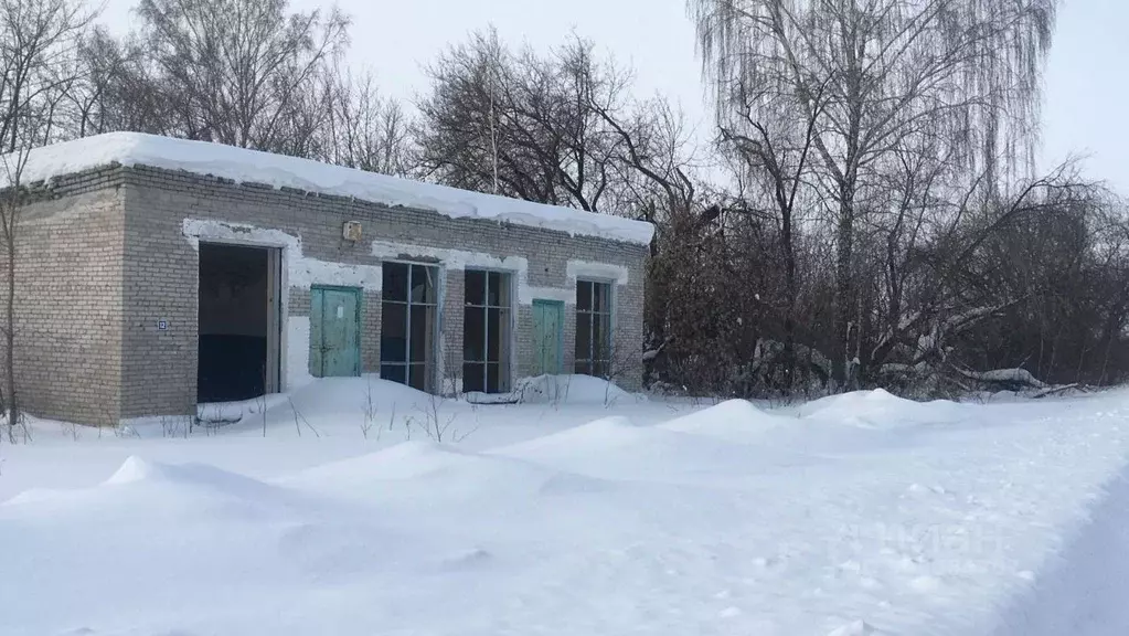 Помещение свободного назначения в Новосибирская область, Убинский ... - Фото 0