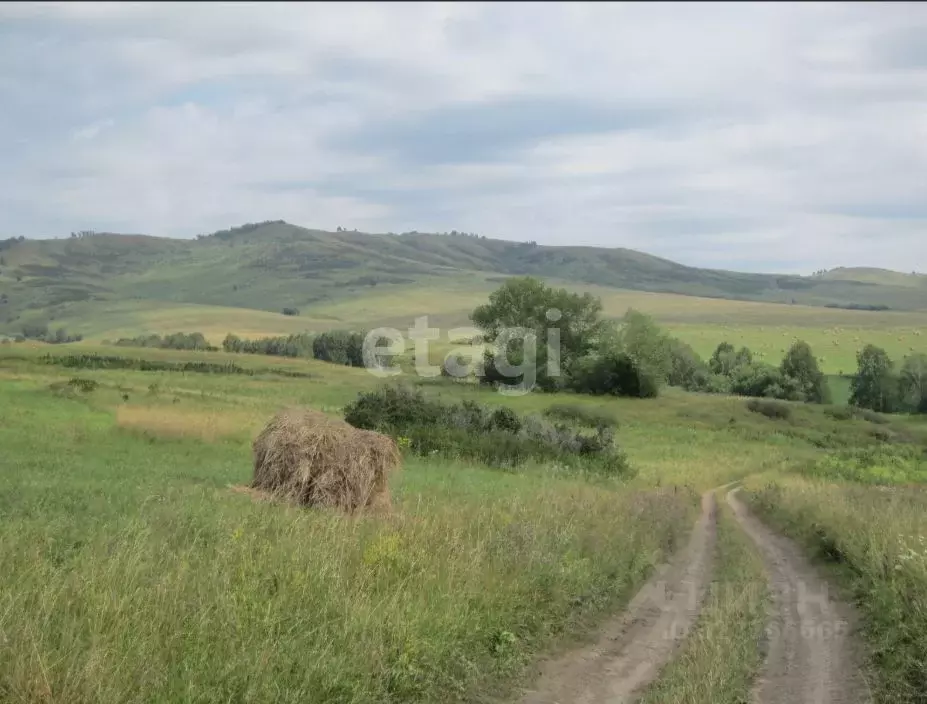 Участок в Алтайский край, Усть-Калманский район, с. Верх-Слюдянка ул. ... - Фото 2
