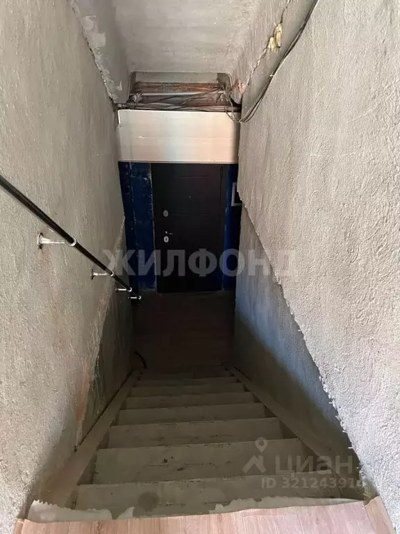 Помещение свободного назначения в Новосибирская область, Новосибирск ... - Фото 2