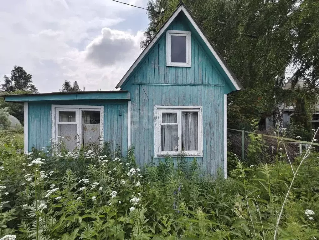 Участок в Тюменская область, Тюмень СОСН Тура тер., ул. Пихтовая (6.84 ... - Фото 0