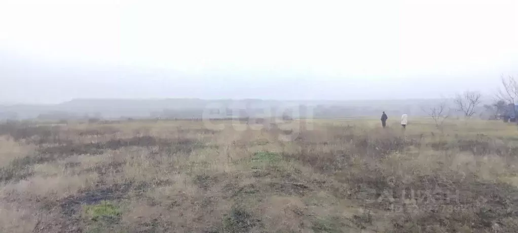 Участок в Белгородская область, Прохоровский район, с. Прелестное  ... - Фото 2