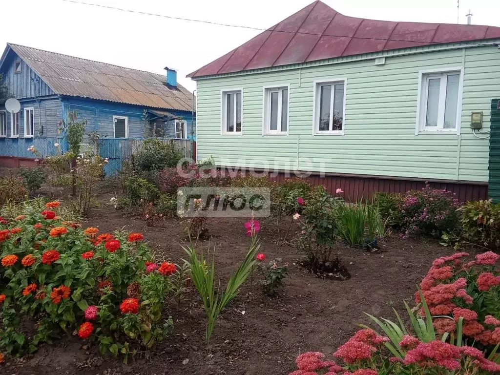 Дом в Курская область, Октябрьский район, Прямицыно муниципальное ... - Фото 1