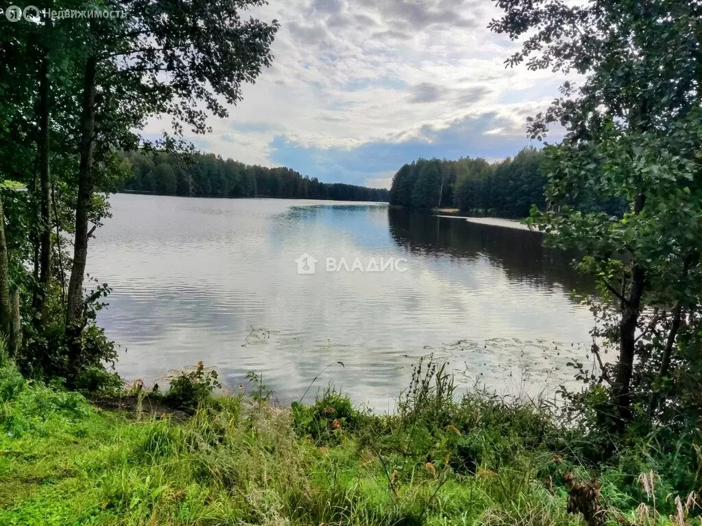 Участок в Владимирская область, Судогодский муниципальный округ, ... - Фото 0