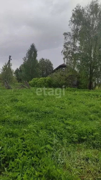 Дом в Костромская область, Судиславское с/пос, д. Асаново 25 (67 м) - Фото 1