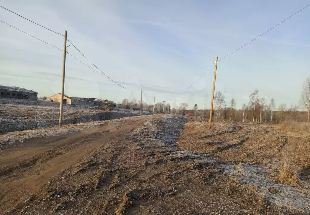 Участок 5,39 га (СНТ, ДНП) - Фото 0