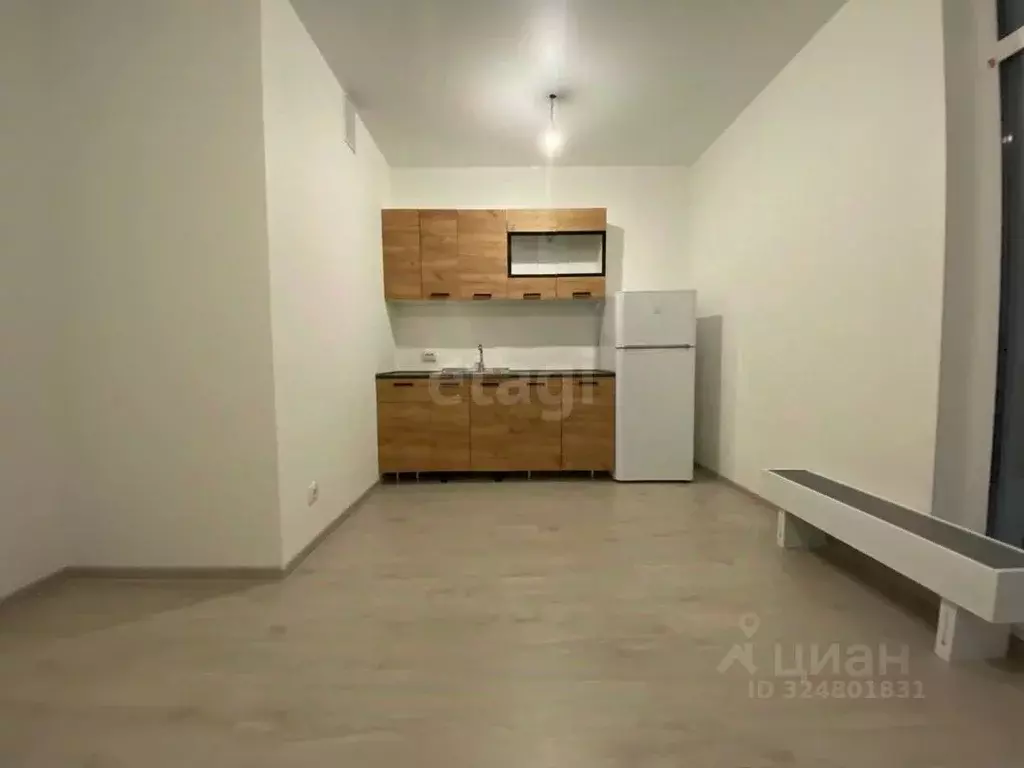 Студия Санкт-Петербург пос. Шушары, ул. Чудовская, 14к1 (25.0 м) - Фото 1