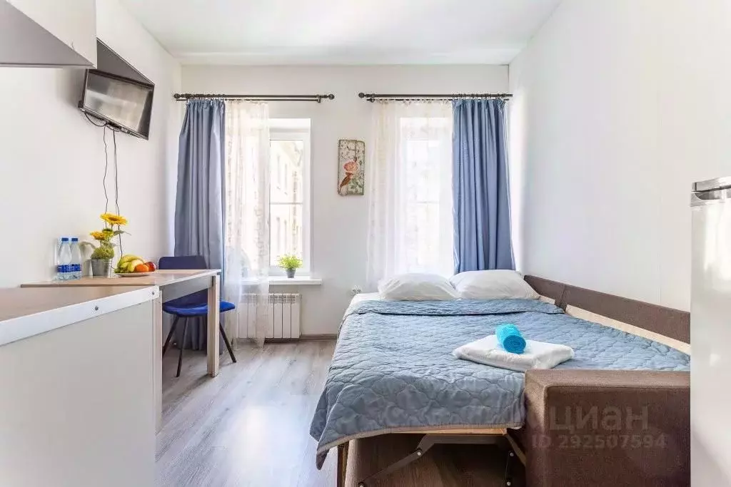 1-к кв. Санкт-Петербург Кузнечный пер., 8 (17.0 м) - Фото 1