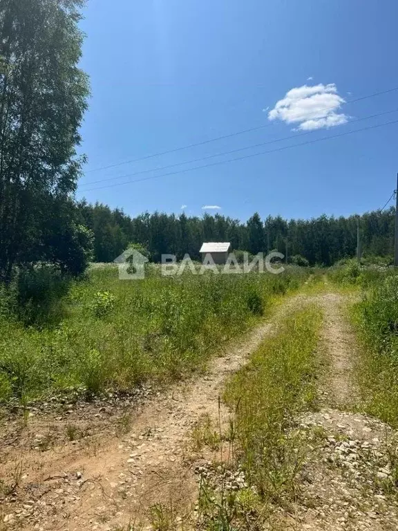 Участок в Владимирская область, Владимир ул. Большая Лукинская, 60 ... - Фото 0